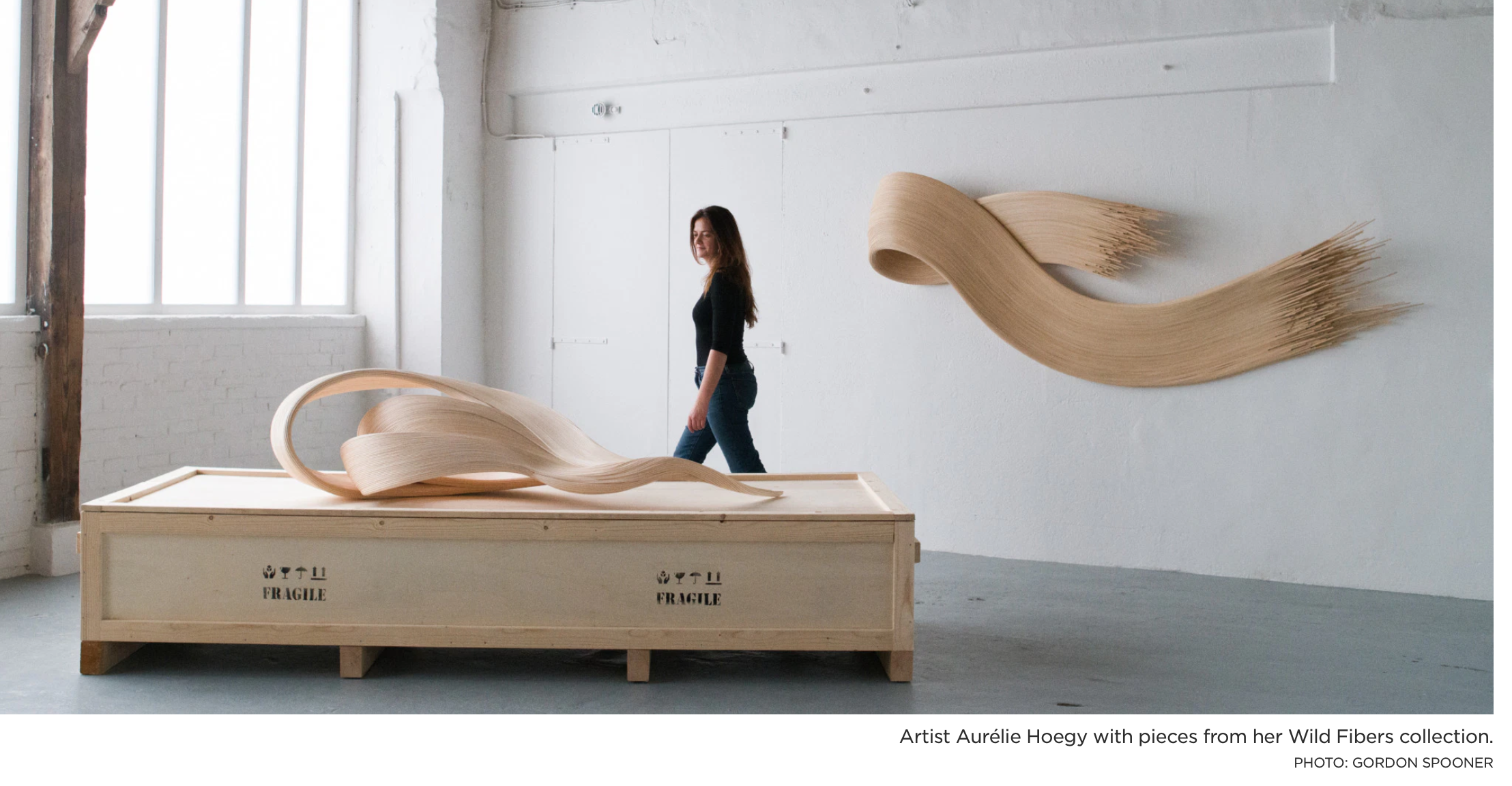 Aur&eacute;lie Hoegy maker profile/Galerie